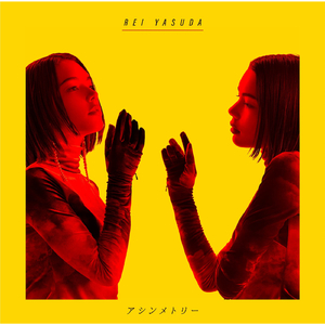 男生jjjj插入女生阴道的久久久视频
