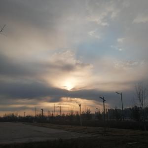 男生jjjj插入女生阴道的久久久视频
