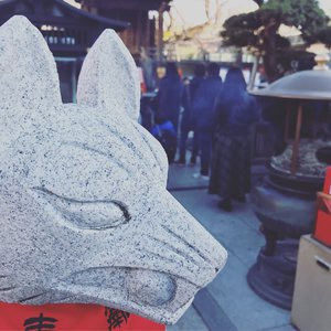 男生jjjj插入女生阴道的久久久视频
