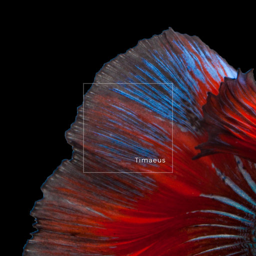 男生jjjj插入女生阴道的久久久视频
